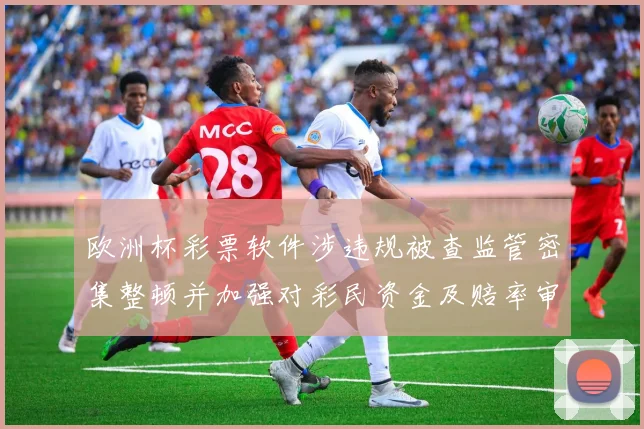 欧洲杯彩票软件涉违规被查监管密集整顿并加强对彩民资金及赔率审查