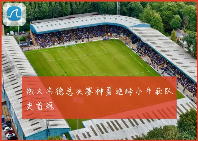 热火韦德总决赛神勇逆转小牛获队史首冠