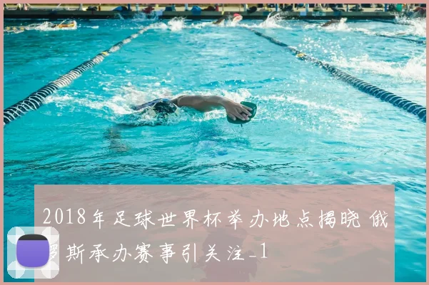 2018年足球世界杯举办地点揭晓 俄罗斯承办赛事引关注_1