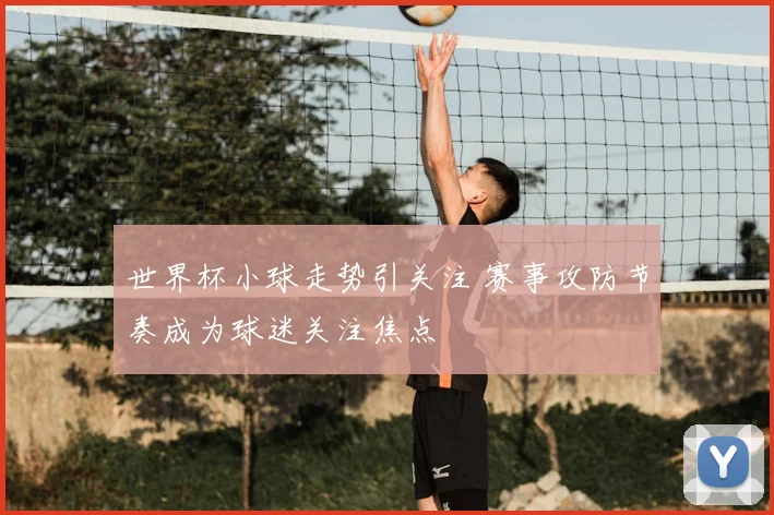 世界杯小球走势引关注 赛事攻防节奏成为球迷关注焦点
