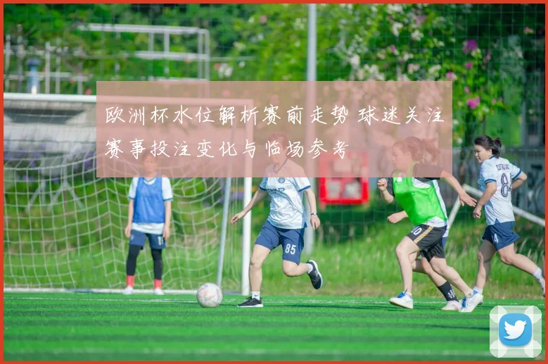 欧洲杯水位解析赛前走势 球迷关注赛事投注变化与临场参考