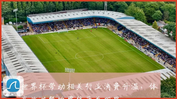 世界杯带动相关行业消费升温，体育旅游餐饮零售受益明显